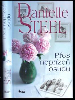 Danielle Steel: Přes nepřízeň osudu