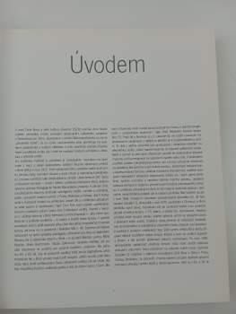 Bronislava Gabrielová: Přesahy výtvarného Brna