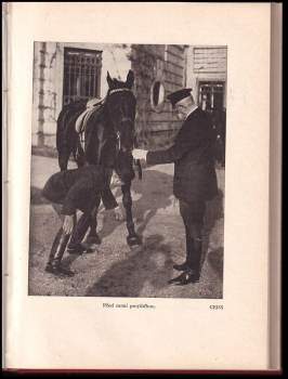 Tomáš Garrigue Masaryk: President osvoboditel