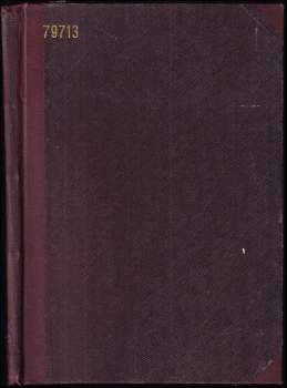 Presné riešenie nosného systému parapetného mosta