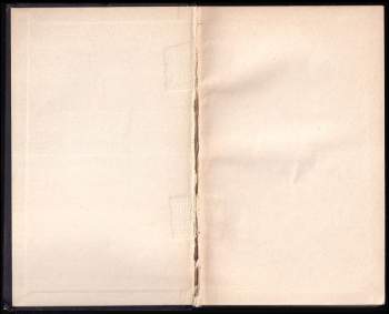 Olga Scheinpflugová: Přežitá smrt