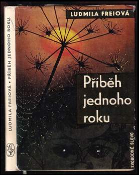 Příběh jednoho roku