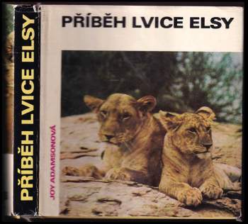 Příběh lvice Elsy