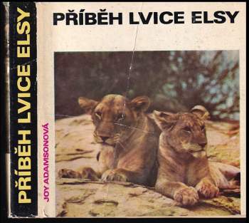 Příběh lvice Elsy