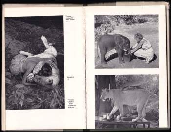 Joy Adamson: Příběh lvice Elsy