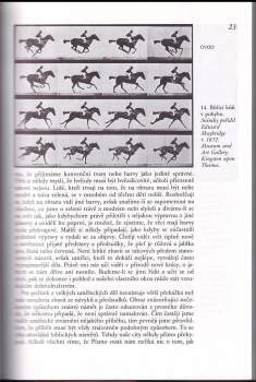 E. H Gombrich: Příběh umění