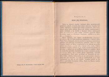 Bret Harte: Příběh z dolu