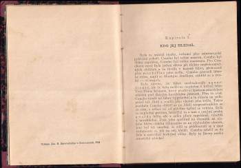 Bret Harte: Příběh z dolu