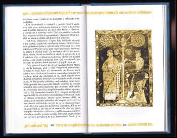 Michel Zink: Příběhy a legendy středověké Evropy