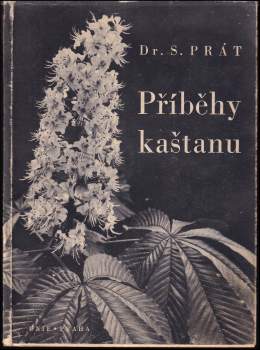 Příběhy kaštanu