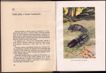 T. E Tisovský: Příhody malé myšky