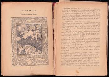 Hans Christian Andersen: Příhody Tomáše Palečka + Nehezké káče a jiné povídky - V JEDNOM SVAZKU