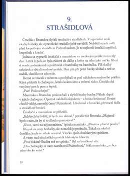 Jiří Kahoun: Příhody včelích medvídků