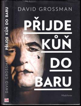 Přijde kůň do baru