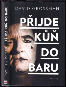 Přijde kůň do baru