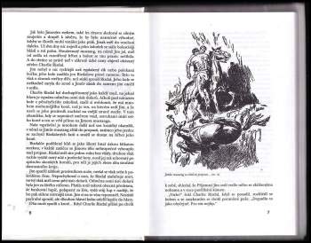 Max Brand: Příjemný Jim