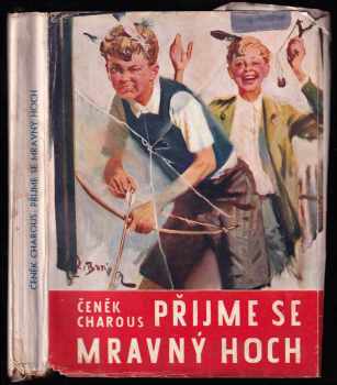 Přijme se mravný hoch