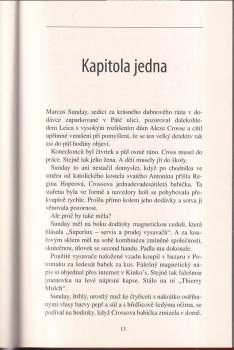 James Patterson: Přímý zásah