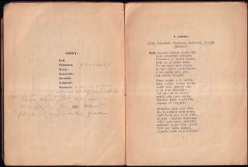 Marie Němcová-Záhořová: Princezna Čárypíše