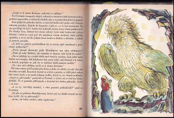 Božena Němcová: Princezna se zlatou hvězdou na čele