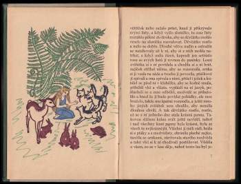 Karel Schulz: Princezna z kapradí
