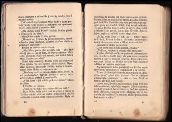 Hedwig Courths-Mahler: Princezna z Nemanic