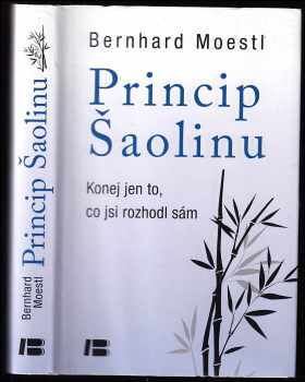 Princip Šaolinu