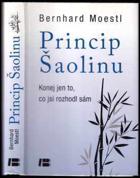 Princip Šaolinu