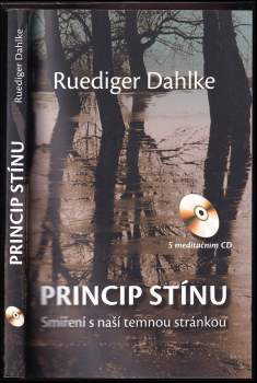 Princip stínu : smíření s naší temnou stránkou