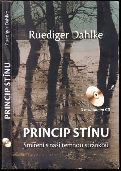 Princip stínu