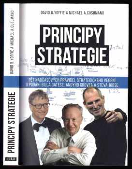 Principy strategie