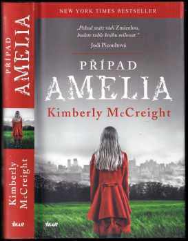 Kimberly McCreight: Případ Amelia