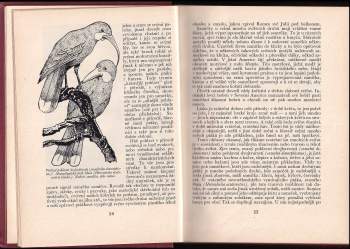 Jan Obenberger: Příroda a její divné děti