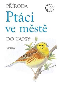 Příroda do kapsy: Ptáci ve městě