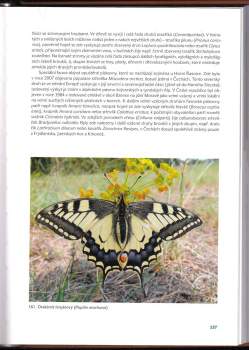 Pavel Vonička: Příroda Frýdlantska