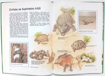 Příroda : moje první encyklopedie