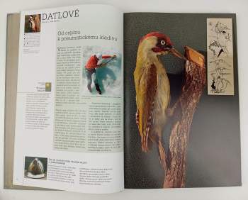 Egon Erwin Kisch: Vstup zakázán!