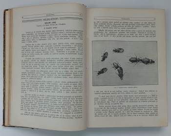 Edward Babák: Příroda, ročník 11. / XI. (1912 - 1913)