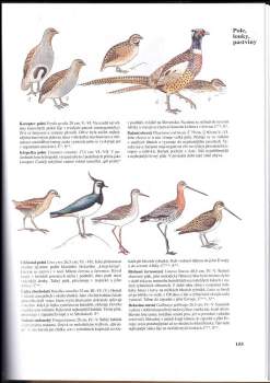 Jiří Čihař: Příroda v České a Slovenské republice