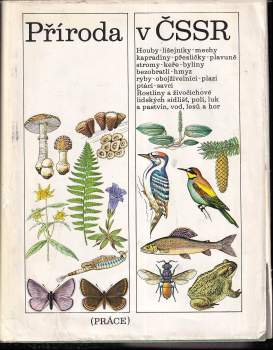 Helena Kholová: Příroda v ČSSR