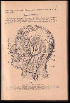 Jan Šimša: Přírodní léčba a domácí lékař - díl I.