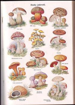 Jan Šimša: Přírodní léčba a domácí lékař - díl II.