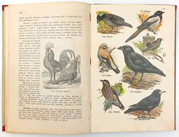 Antonín Nosek: Přírodopis živočišstva pro nižší třídy středních škol