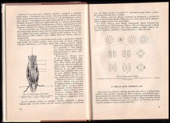 Rudolf Vrbacký: Příručka koželuha