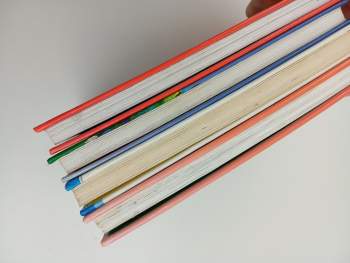 Walt Disney: 2. příručka mladých svišťů