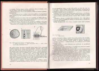 Karel Kydlíček: Příručka pro tesaře
