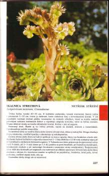 Dionýz Dugas: Príručný atlas liečivých rastlín