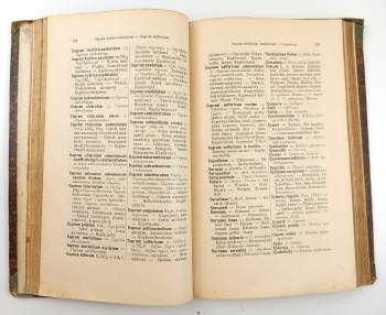 Josef Zdeněk Lerch: Příručný slovník lékárnický