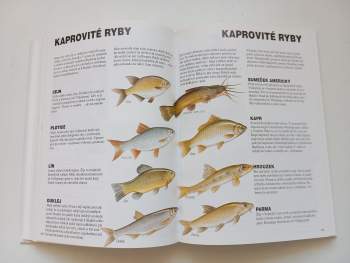 Renée Kayser: Přítel lesa