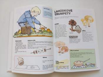 Renée Kayser: Přítel lesa